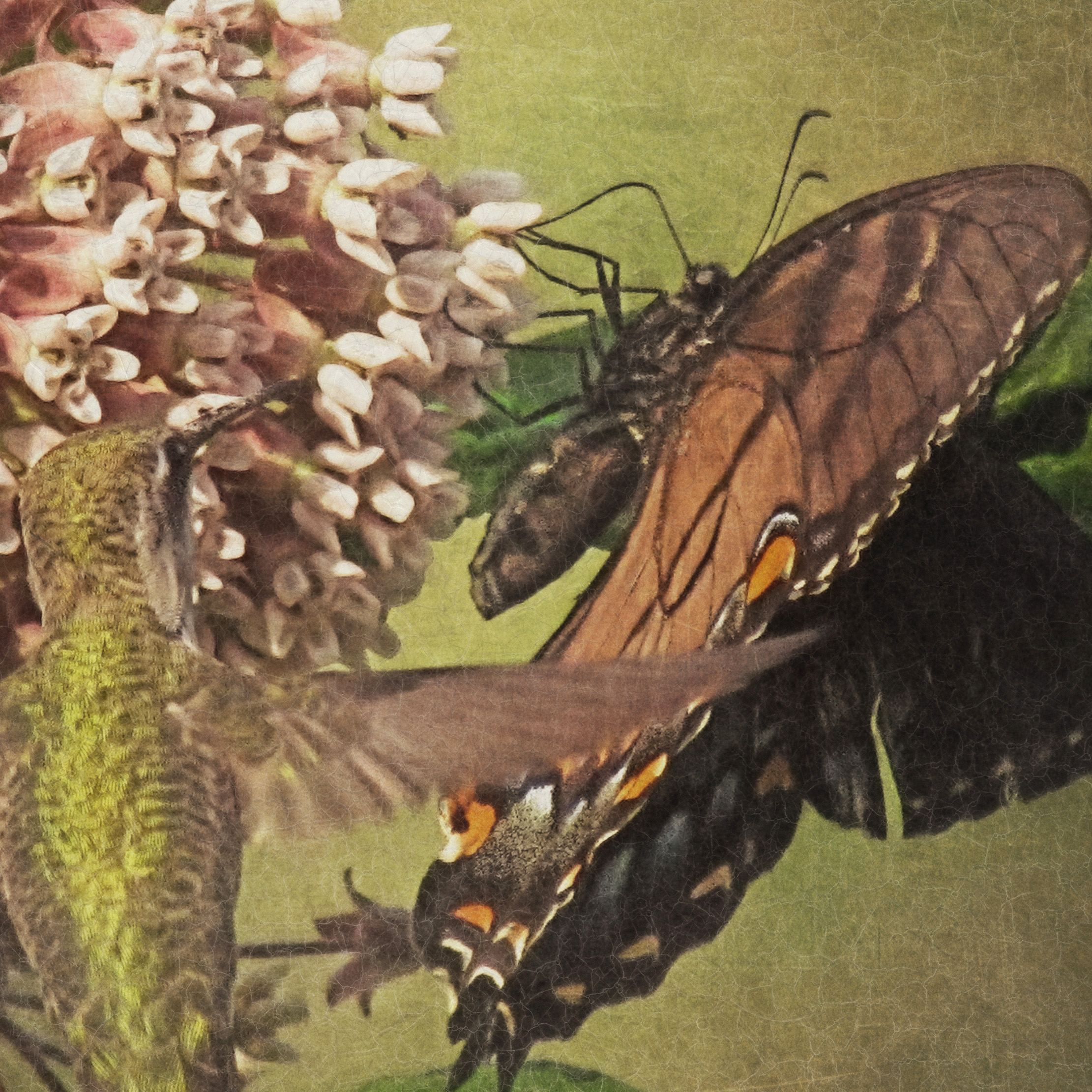 Fairies of the Fields: Triptych Fairies of the Fields: Triptych